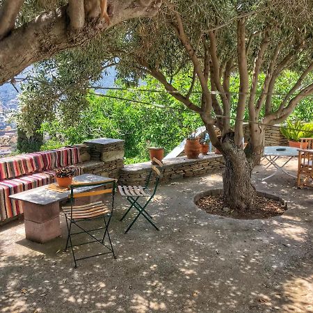 The Walnut Tree - Cycladic Getaway With Sea Views By Explore Andros Lámira Exteriér fotografie
