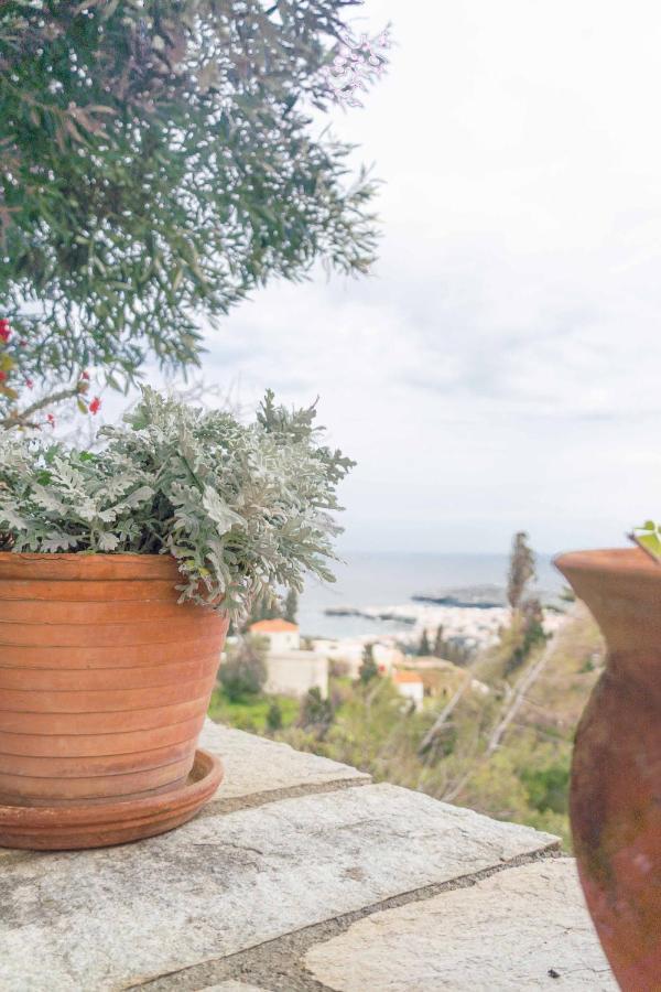 The Walnut Tree - Cycladic Getaway With Sea Views By Explore Andros Lámira Exteriér fotografie