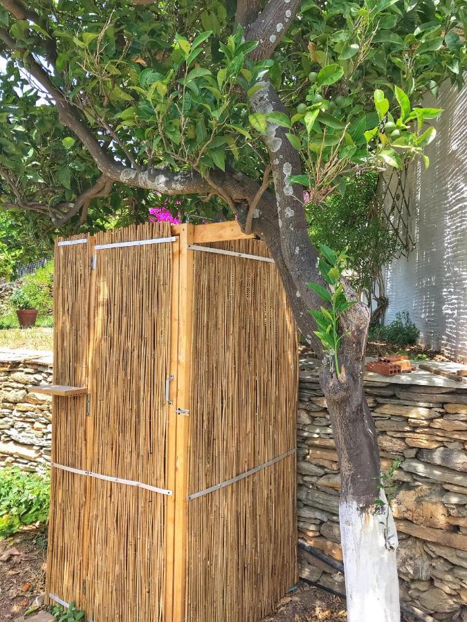 The Walnut Tree - Cycladic Getaway With Sea Views By Explore Andros Lámira Exteriér fotografie