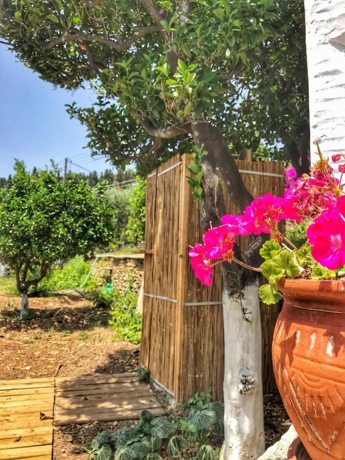 The Walnut Tree - Cycladic Getaway With Sea Views By Explore Andros Lámira Exteriér fotografie